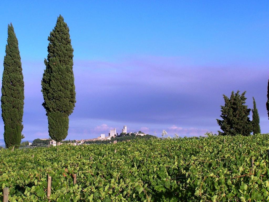 Poggetto Di Montese Apartamento San Gimignano Quarto foto